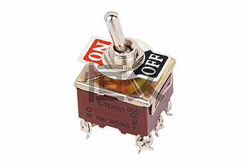 E-TEN 301 
                                        