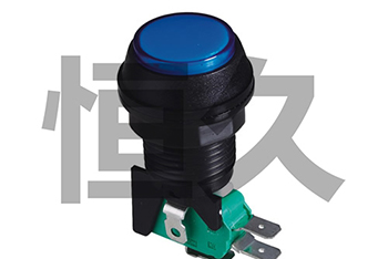 RWA-602 16A250VAC