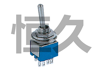 SMTS-202 ON-ON 